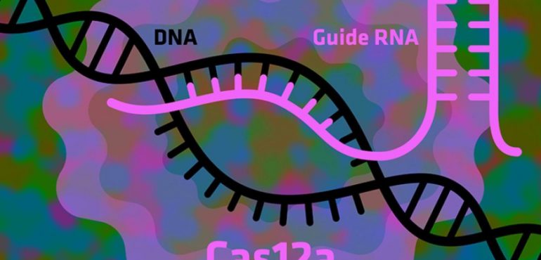 How to make the gene-editing tool CRISPR work even better