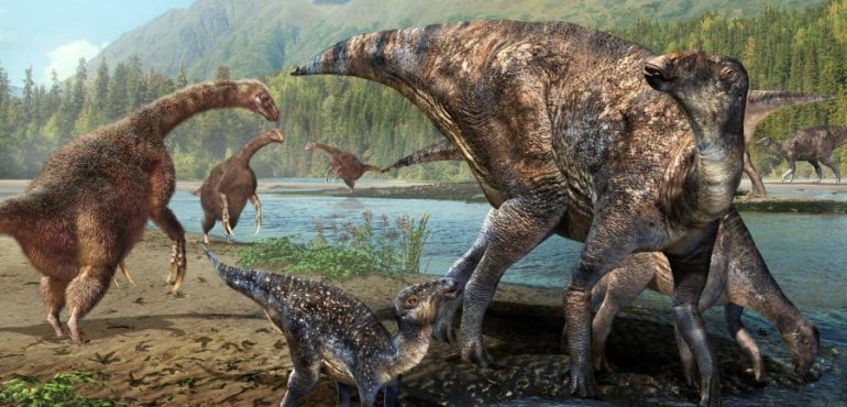 First North American co-occurrence of Hadrosaur and Therizinosaur tracks found in Alaska