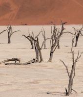 Unravelling the reasons why mass extinctions occur