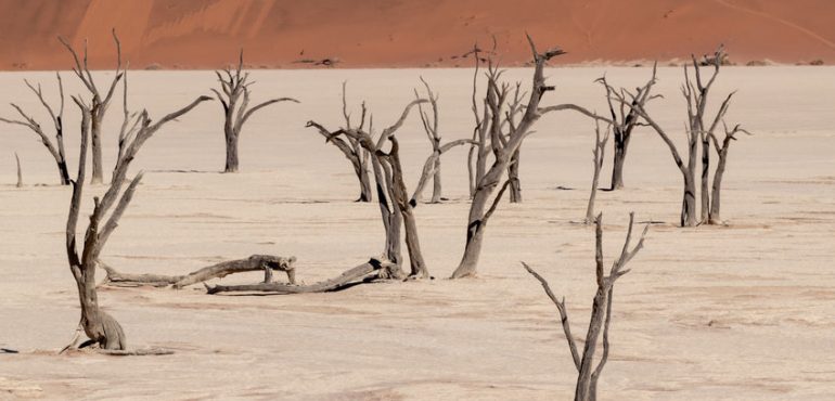 Unravelling the reasons why mass extinctions occur