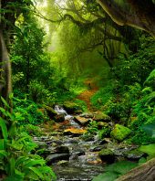 Half the planet should be set aside for wildlife – to save ourselves