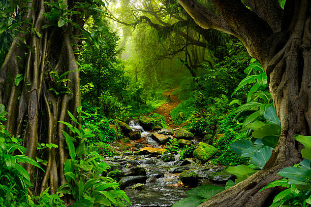 Half the planet should be set aside for wildlife – to save ourselves