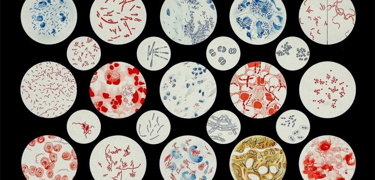 8,000 new antibiotic combinations are surprisingly effective