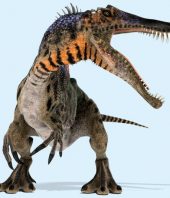 The mystery of the dinosaur with crocodile jaws, bear claws and a sail