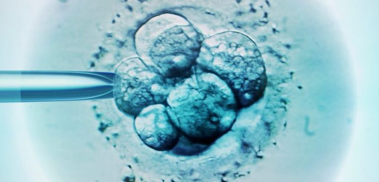 Japan set to allow gene editing in human embryos