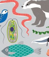 Ambitious Project to Sequence Genomes of 1.5 Million Species Kicks Off