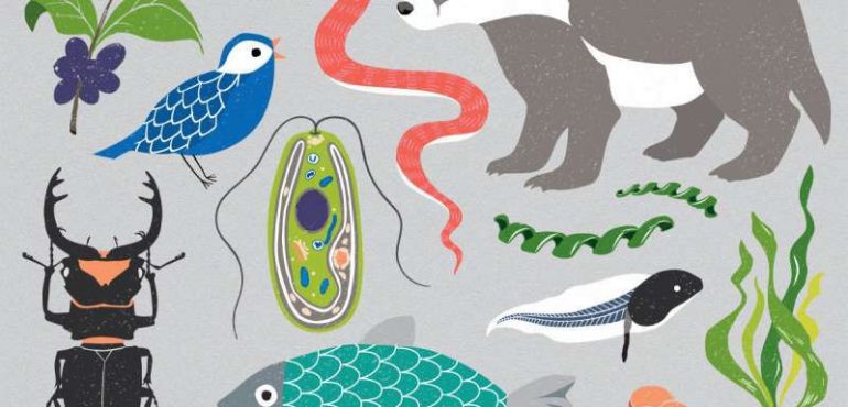 Ambitious Project to Sequence Genomes of 1.5 Million Species Kicks Off