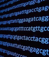 Artificial intelligence applied to the genome identifies an unknown human ancestor