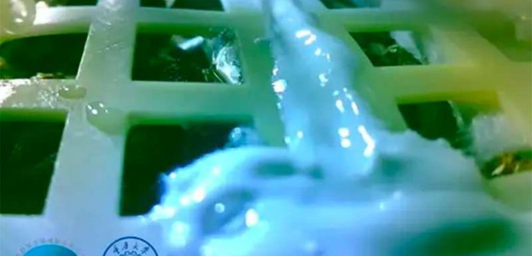 First moon plants sprout in China’s Chang’e 4 biosphere experiment