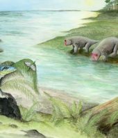 Meet the ‘Antarctic king,’ an unlikely fossil from 250 million years ago