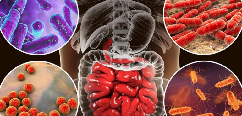 Scientists Find a Possible Link Between Gut Bacteria and Depression