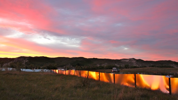 The Wild Experiment That Showed Evolution in Real Time