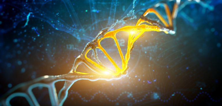 Study uncovers genetic switches that control process of whole-body regeneration