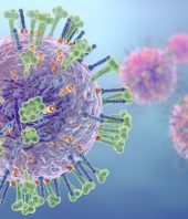 Flu virus’ best friend: Low humidity