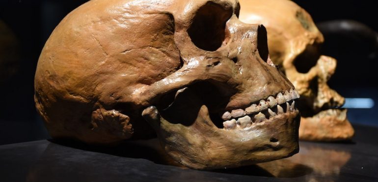 Neanderthals and modern humans diverged at least 800,000 years ago, new research shows