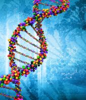 New causes of autism found in ‘junk’ DNA