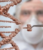 CRISPR baby mutation significantly increases mortality