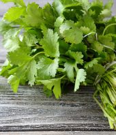New study explains the molecular mechanism for the therapeutic effects of cilantro