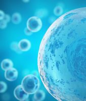 First cells may have emerged because building blocks of proteins stabilized membranes