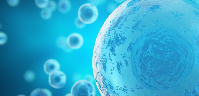 First cells may have emerged because building blocks of proteins stabilized membranes