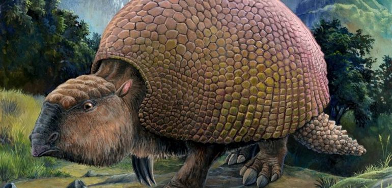 This Ancient Giant Armadillo Is Responsible For Giving Us The Avocado