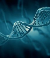 New cancer-driving mutation in ‘dark matter’ of the cancer genome