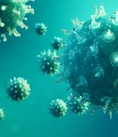 By targeting flu-enabling protein, antibody may protect against wide-ranging strains