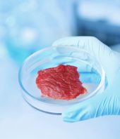 Harvard researchers grew meat in a lab from cow and rabbit cells. It looks a lot like the real thing
