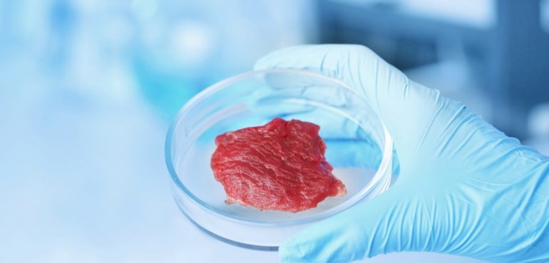 Harvard researchers grew meat in a lab from cow and rabbit cells. It looks a lot like the real thing
