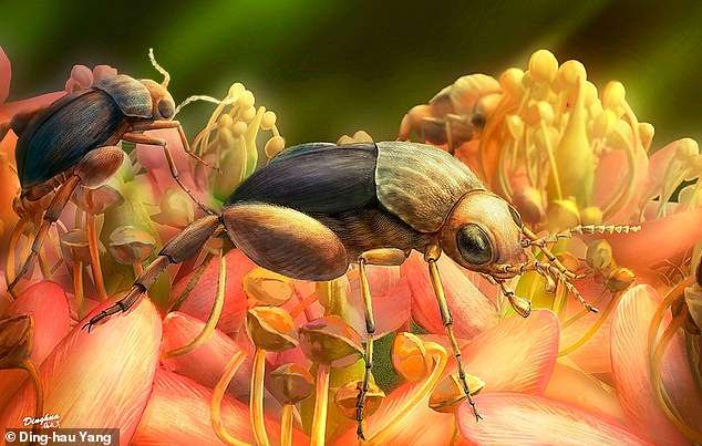 Beetle fossilised in amber reveals earliest evidence of prehistoric pollination as scientists discover the insect had flower traces on its feet when it died 99million years ago