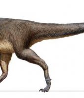 In a first, fossil dinosaur feathers found near the South Pole