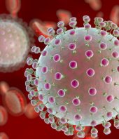 Breakthrough in Zika virus vaccine
