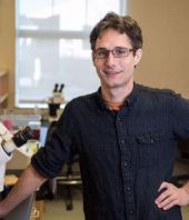 Biologists identify pathways that extend lifespan by 500 percent