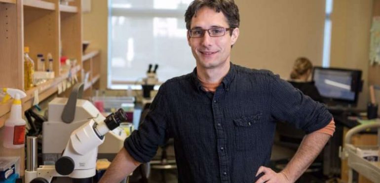 Biologists identify pathways that extend lifespan by 500 percent