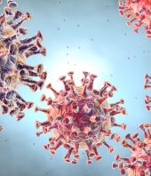 New ‘universal’ target for antiviral treatment