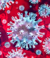 To predict an epidemic, evolution can’t be ignored