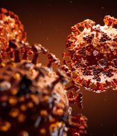 COVID-19 coronavirus epidemic has a natural origin