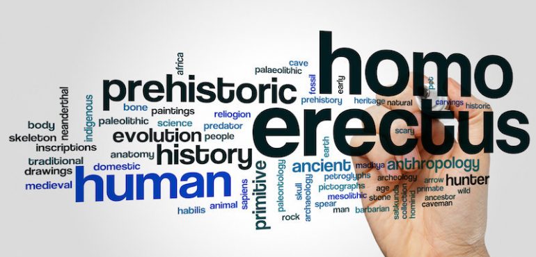 When three species of human ancestor walked the Earth