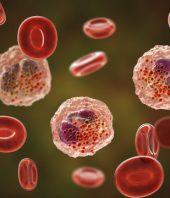 Age-related impairments reversed in animal model