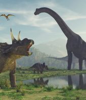 Study sheds light on the evolution of the earliest dinosaurs