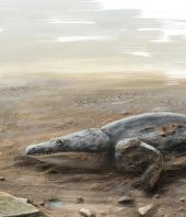 Meet the super salamander that nearly ate your ancestors for breakfast