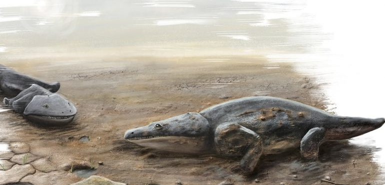 Meet the super salamander that nearly ate your ancestors for breakfast