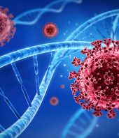 Pinpointing the ‘silent’ mutations that gave the coronavirus an evolutionary edge