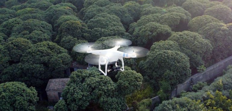 drone flying over a forest